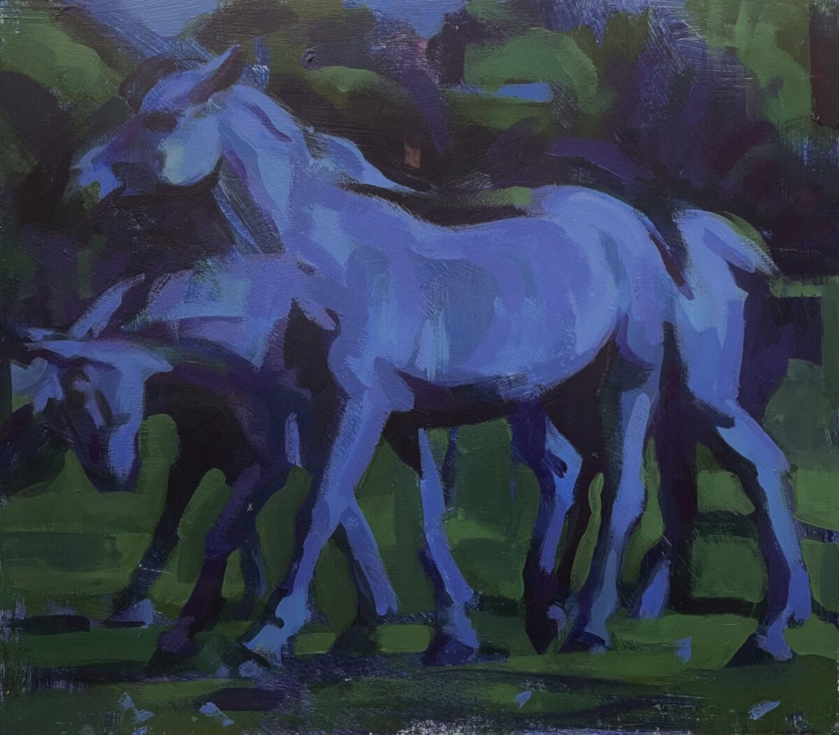 Horse Walking at Night