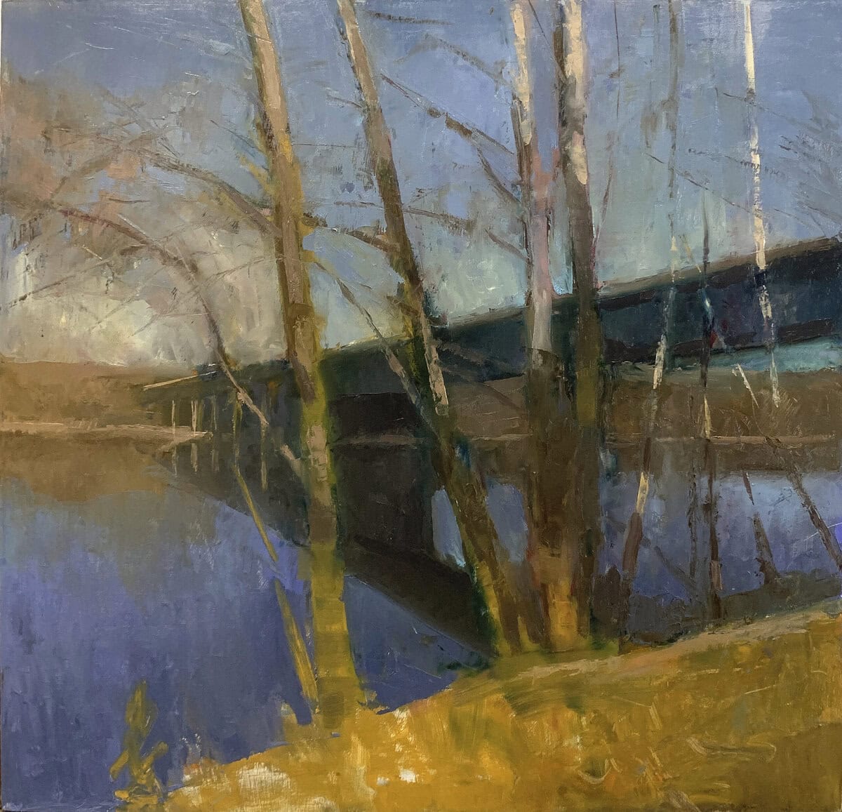 James River, Goochland County, VA, Winter