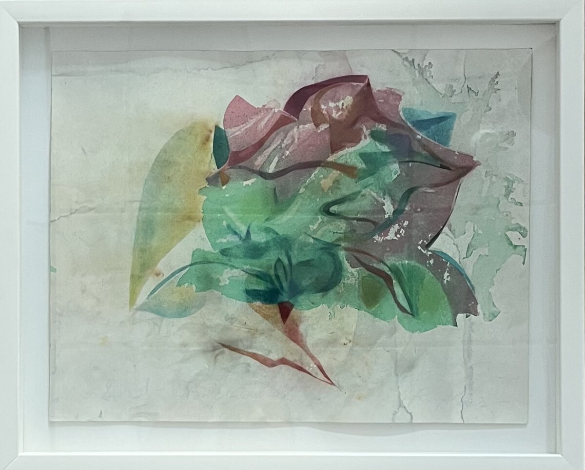 Seed IV