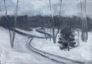 Snow and Path