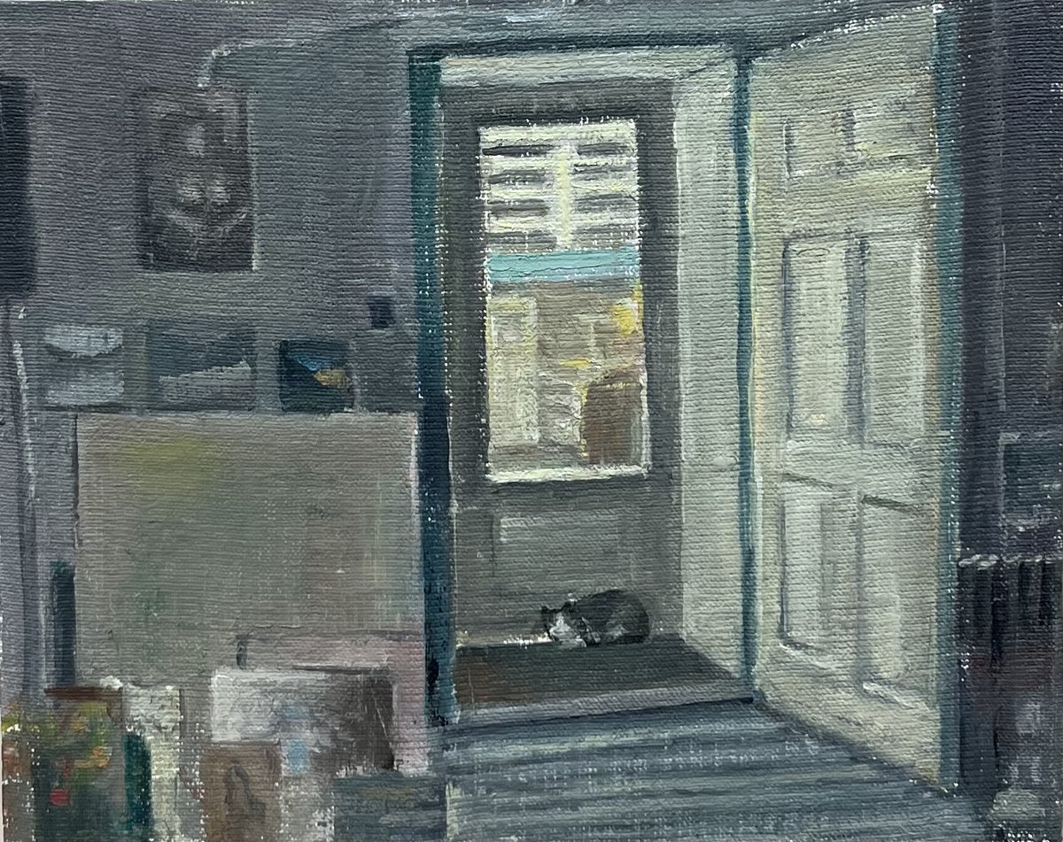 Studio Cat