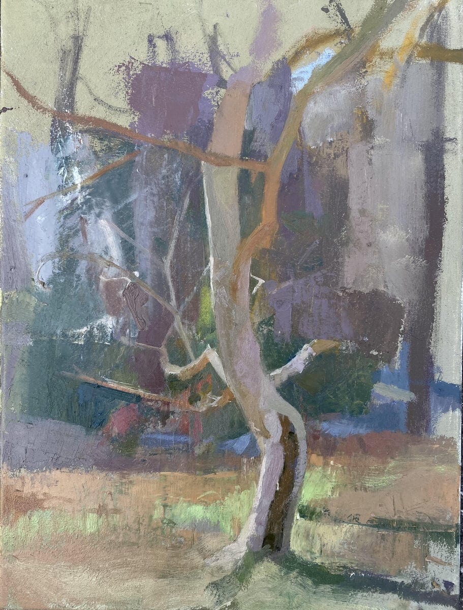 Sycamore Swing