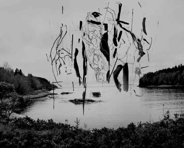 Collaboration with J Baltzell 1, Photography, 17in x 13in